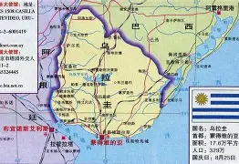 开云体育-关于乌拉圭逆转塞内加尔，维尼修斯送出助攻的信息